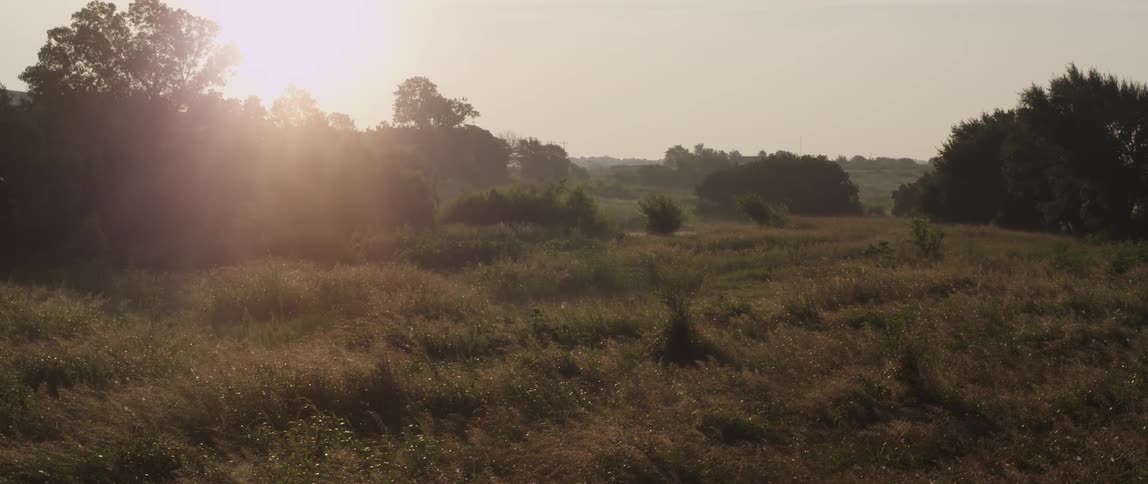 A grassy field