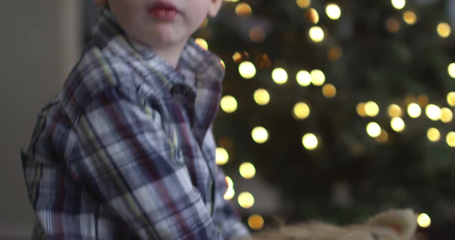 Little boy riding a toy pony next to christmas tree