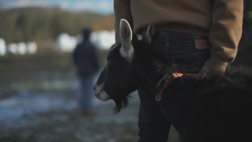 Man holding goat