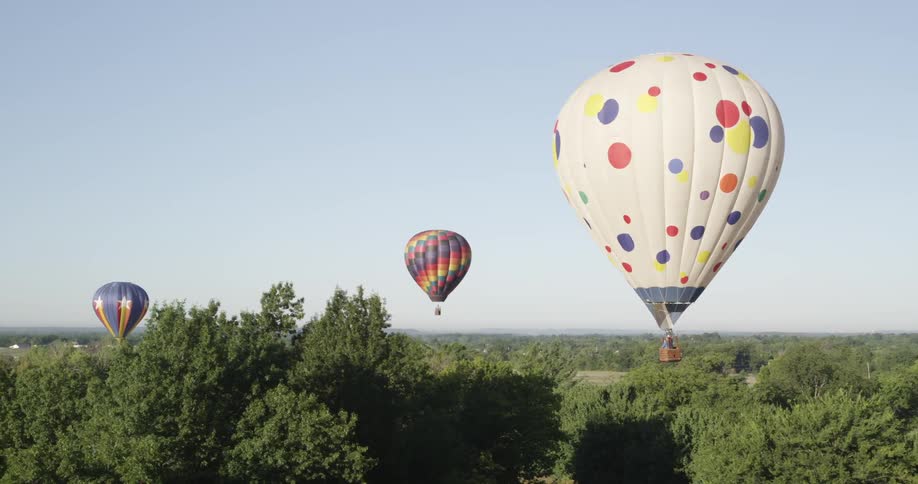 Multiple colorful hot air balloons hover over trees