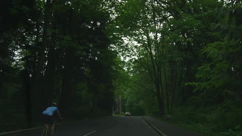 A car drives on a forest road