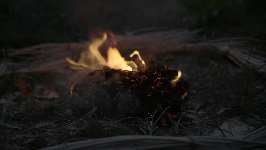 Campfire burning at night