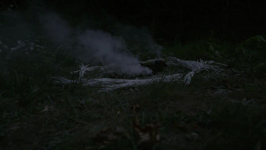 Smoke rising from a campfire