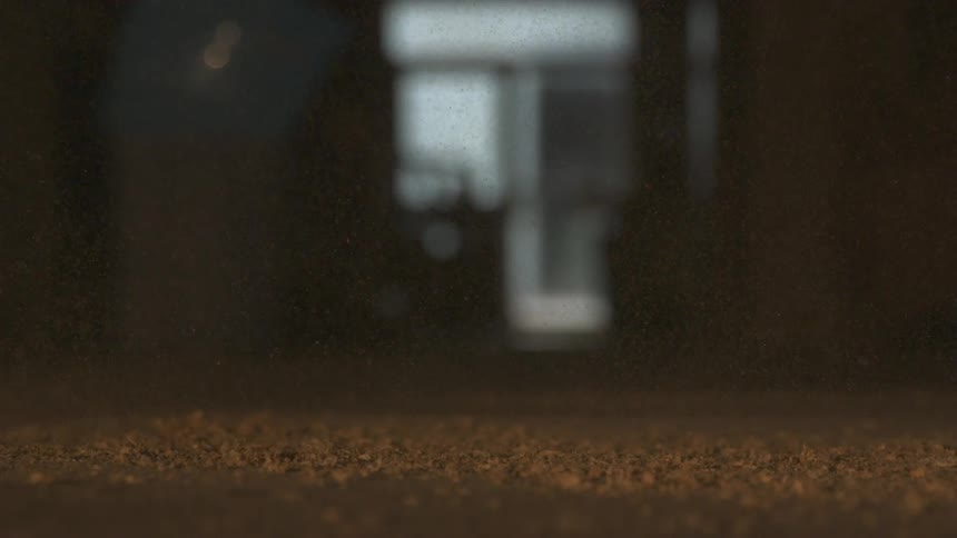 A blurry scene of a leaf covered-ground