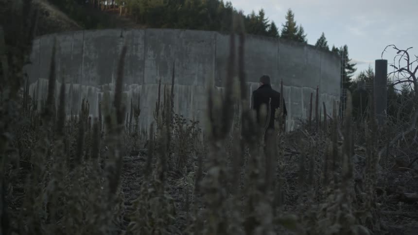 A person walking past some dead sticks