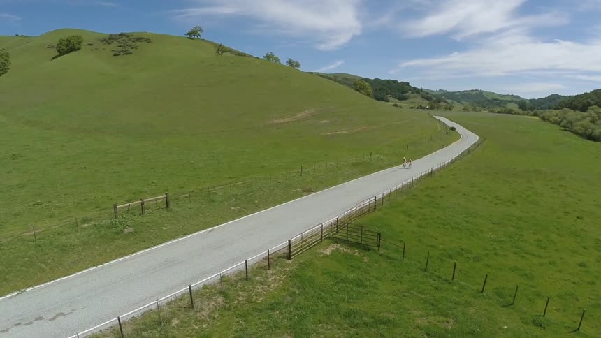 Two bicyclists ride down a road between two green fields under a blue sky