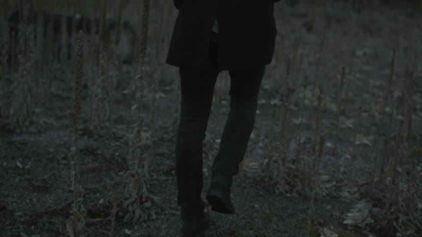 A person walks through a field near dusk