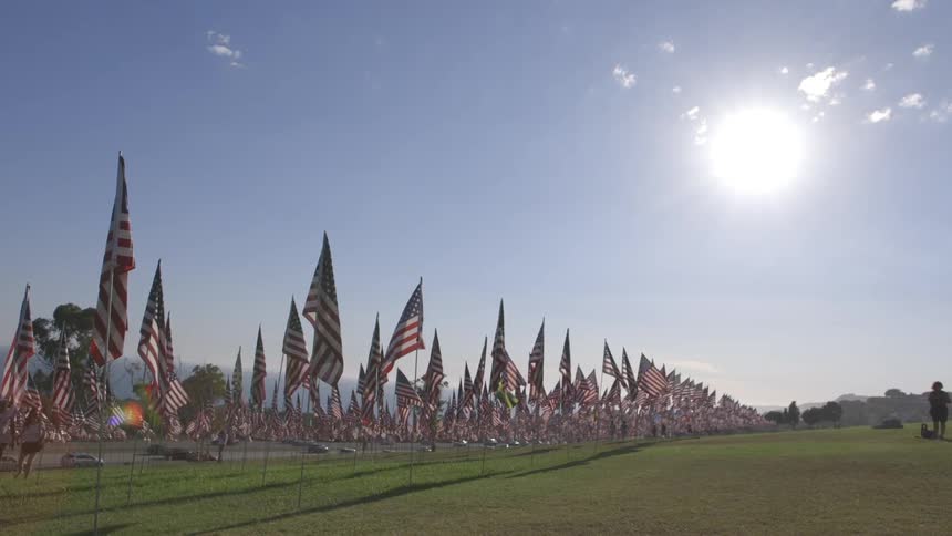A group of american flags billow in the sunlight