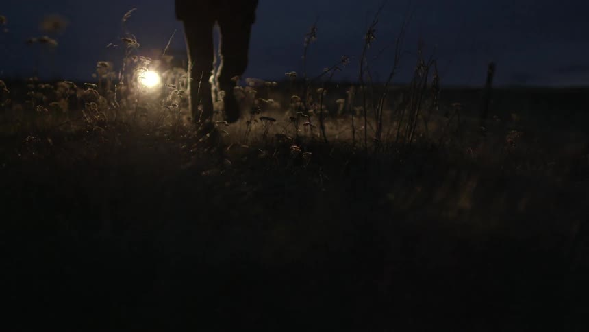 A woman walking through a field as headlights shine behind her