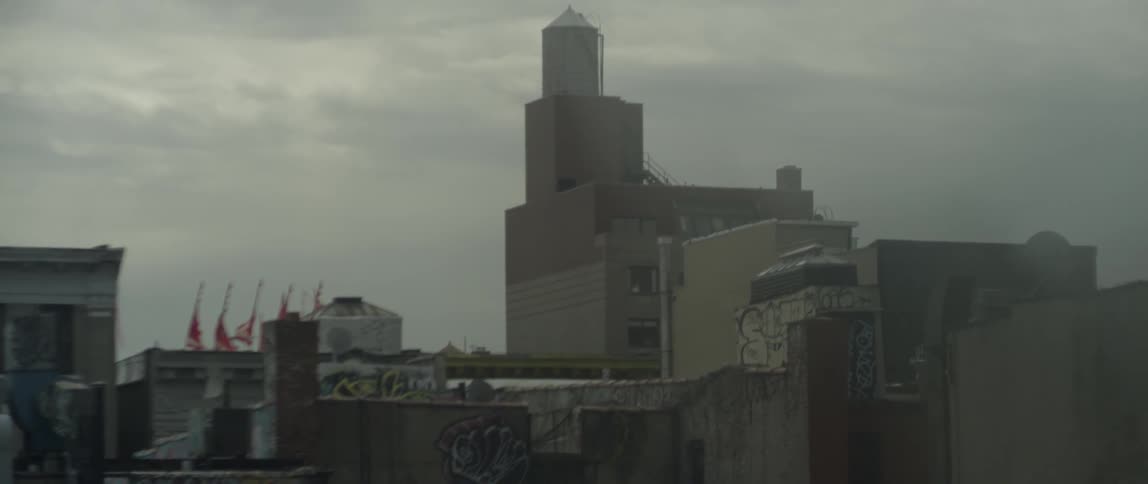A bird flies over a graffitied building