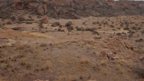 A valley dotted with dead prairie grass and shrubs ringed by a rocky cliff