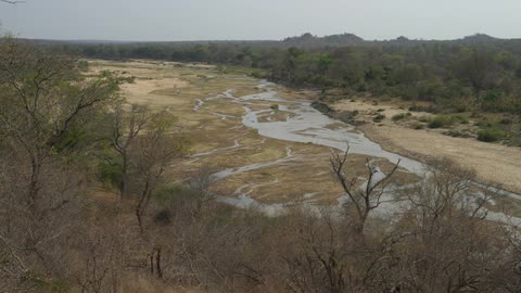 A savannah is shown