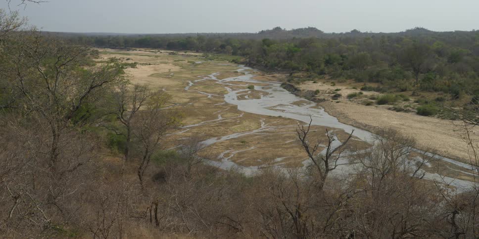 A savannah is shown