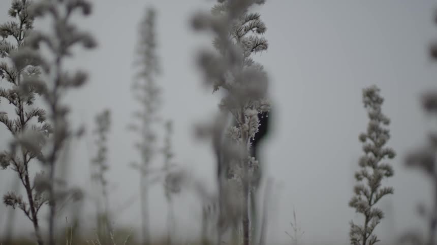 A man stands alone in a field on a cloudy day