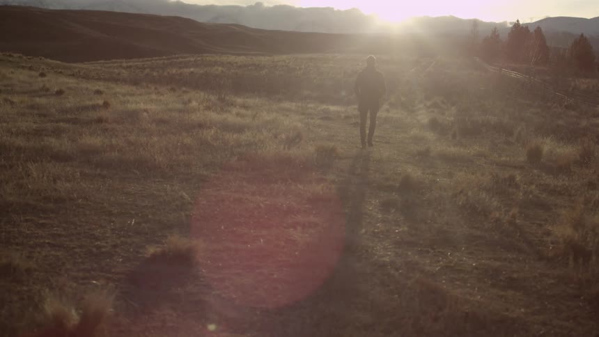 A person walks through a field near dusk