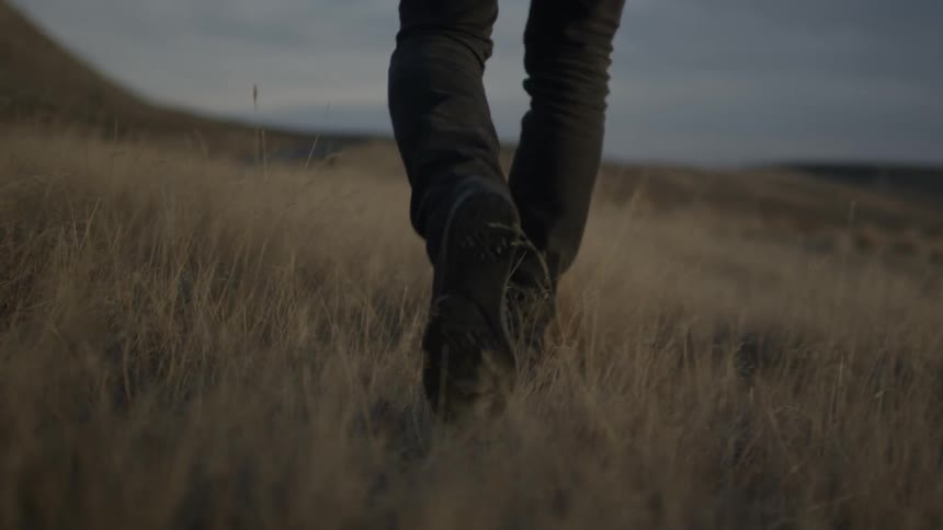 A man walks through a field