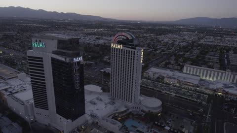 The palms from above during the day