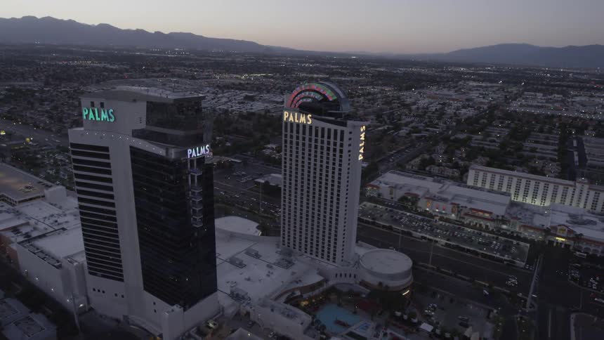 The palms from above during the day