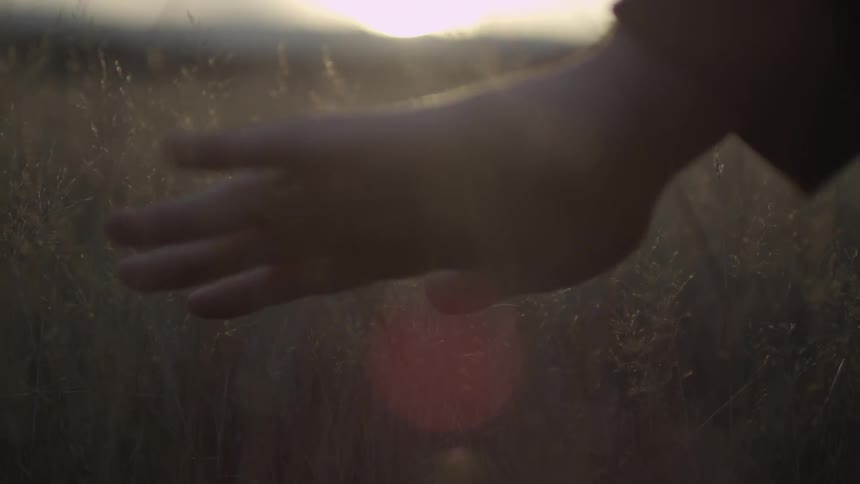 Woman moving her hand over some grass at sunrise