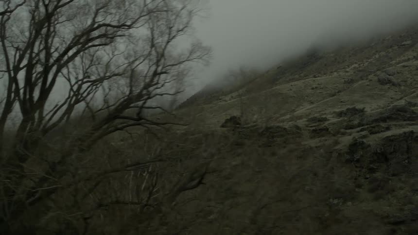Passing by trees in winter beside large hills