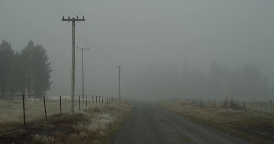 Drive down a foggy road with trees