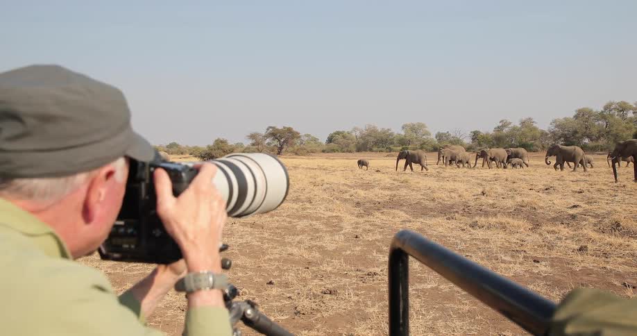 Man photographing elephants from a safari vehicle