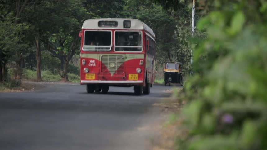 Vehicles drive down a tree-lined road