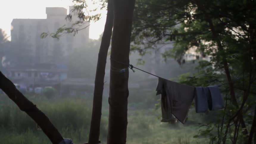 Clothes are hung from a line between two trees