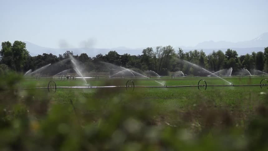 Field sprinklers spraying water over a crop surrounded by ytrees