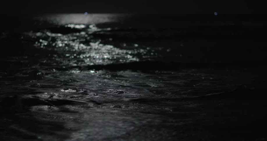 Night with the moon shining on a beach