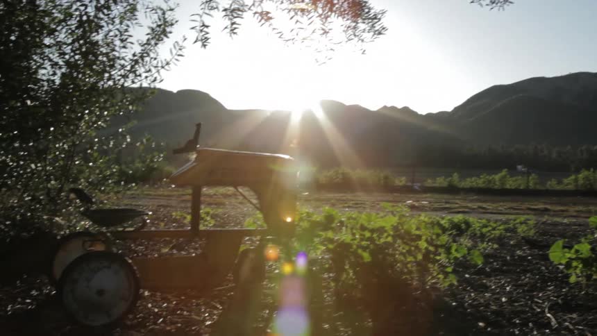 A farm or country landscape with the sun rising in the background and a toy tractor in the foreground