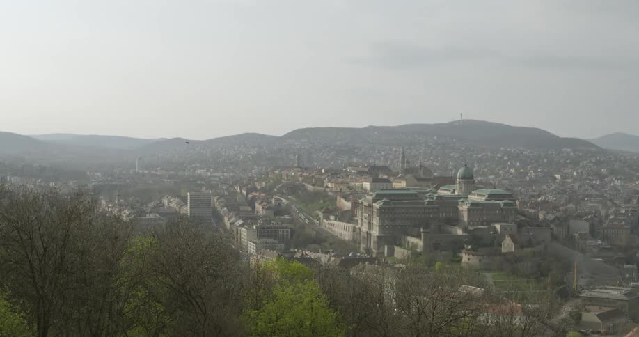 A bird flies over a city