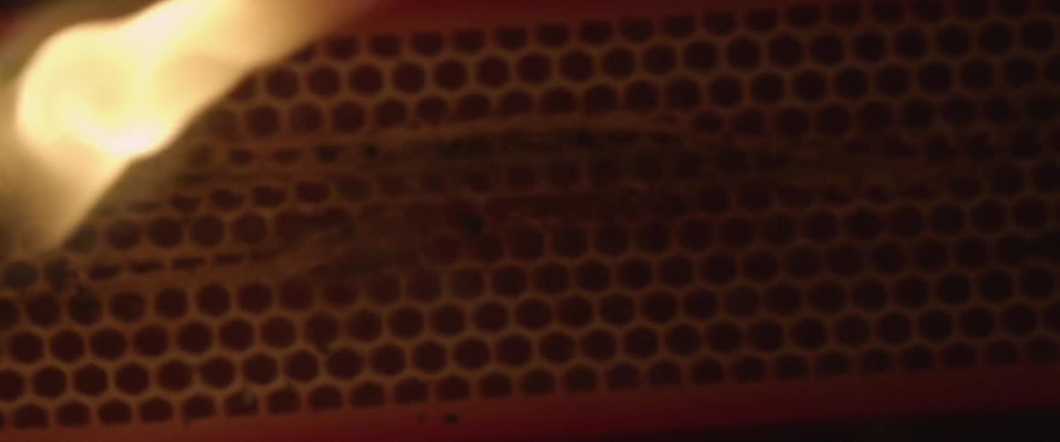 Flames burn in front of a grate
