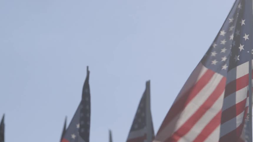 A group of flags waft in the wind