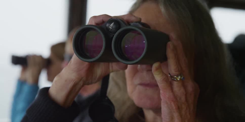 People are looking through binoculars