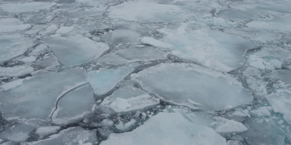 Icebergs floating in cold water