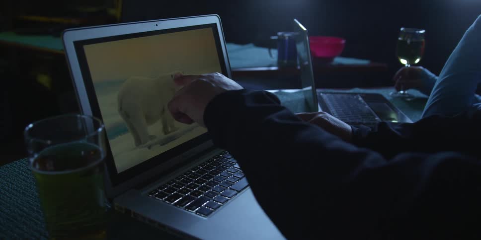 A man looks at a picture of a polar bear on a laptop