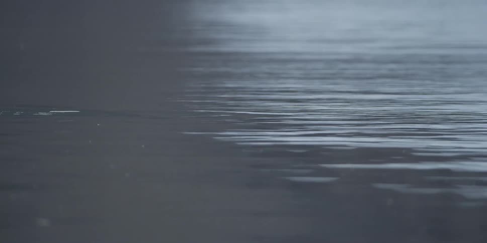 Calm water on a sunny day