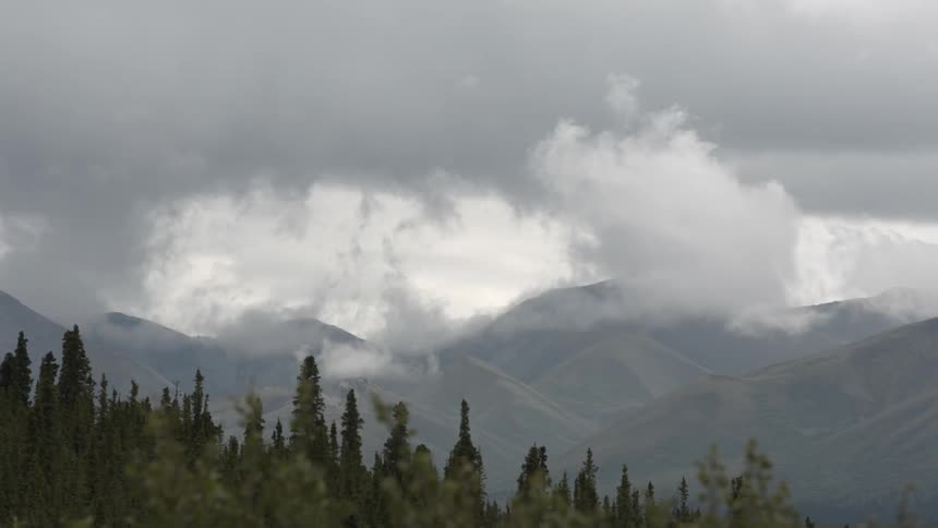 Clouds blowing over snow-capped mountains behind a line of trees on an overcast day