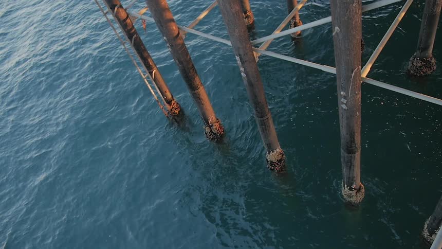 Dock sit in water