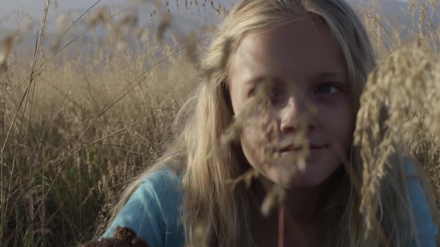 A girl sits in a field