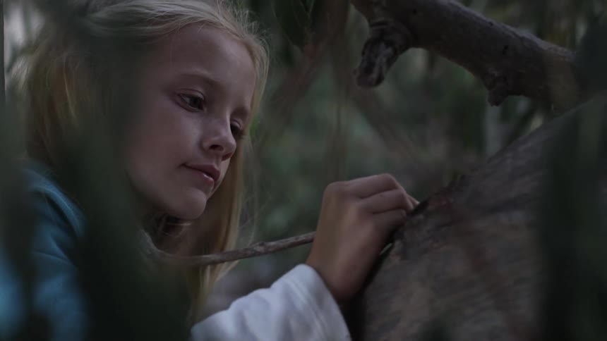 A little girl carving something into a tree trunk