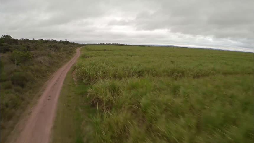 Dirt road sits between the grassy fields under a cloudy sky