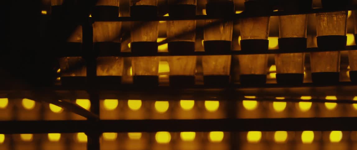 Lights flicker behind full shelves