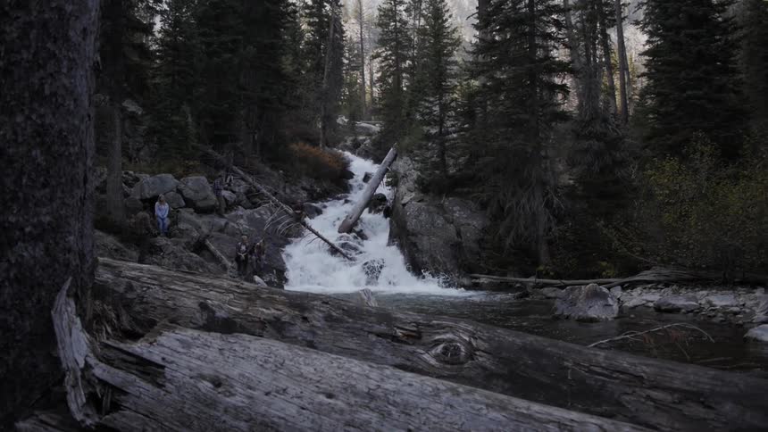 Rapids flowing through a forest