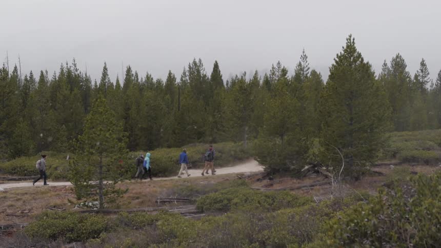 A group of hikers travel along a path