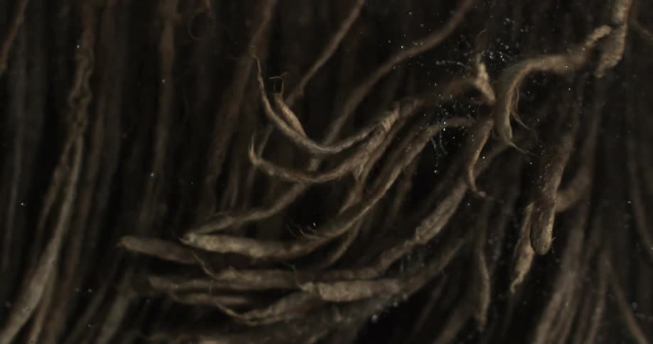 Water is shaken from hair in slow motion