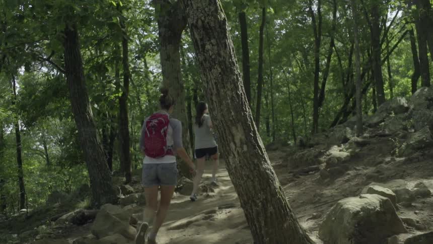 Two girls are running in the forest