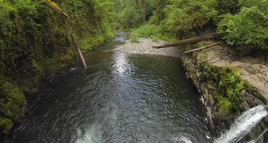 A river flows over a small cliff and through a forest
