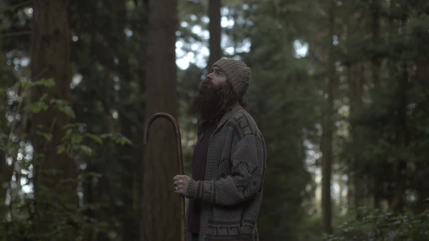 A man is looking in the forest
